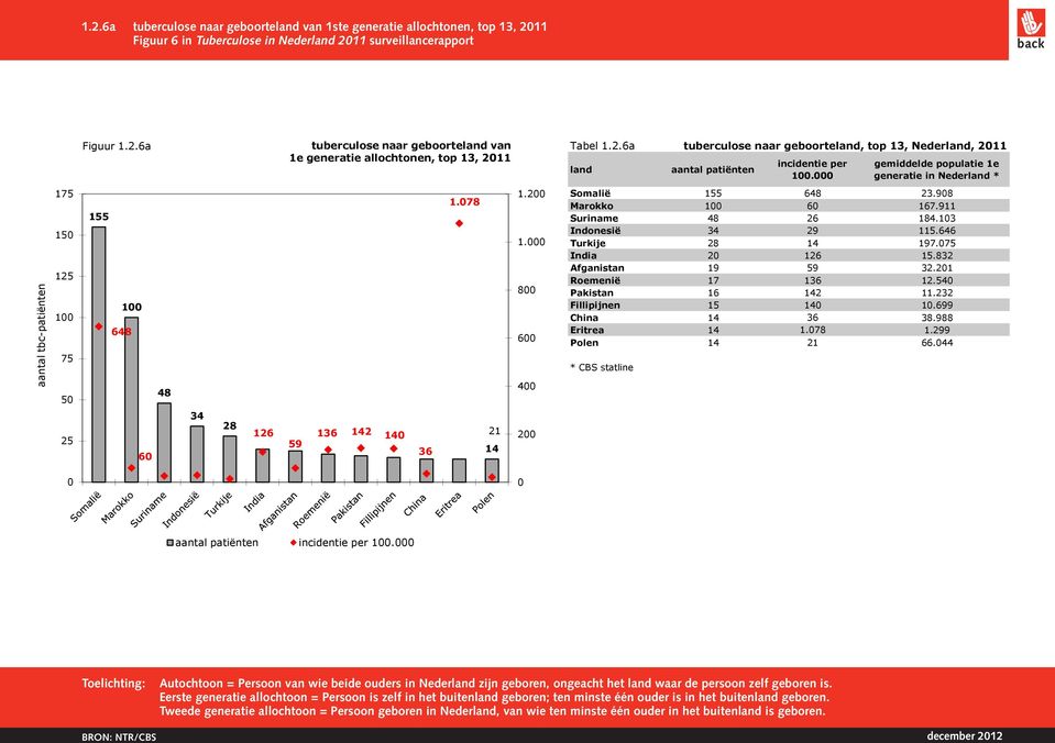 surveillancerapport 1ste allochtonen, generatie allochtonen, top 13, 20