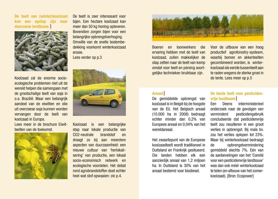 Maar een belangrijk aandeel van de eiwitten en olie uit overzeese soja kunnen worden vervangen door de teelt van koolzaad in Europa. Lees meer in de brochure Eiwitteelten van de toekomst.