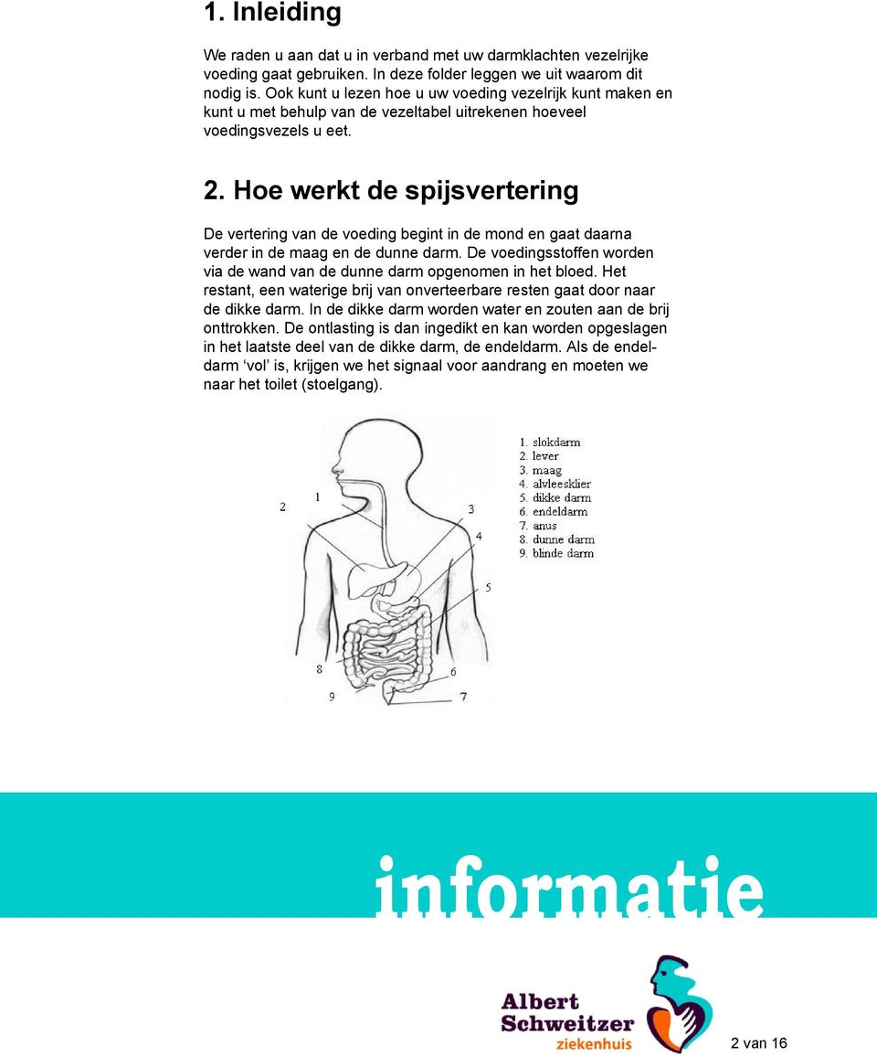 Hoe werkt de spijsvertering De vertering van de voeding begint in de mond en gaat daarna verder in de maag en de dunne darm.