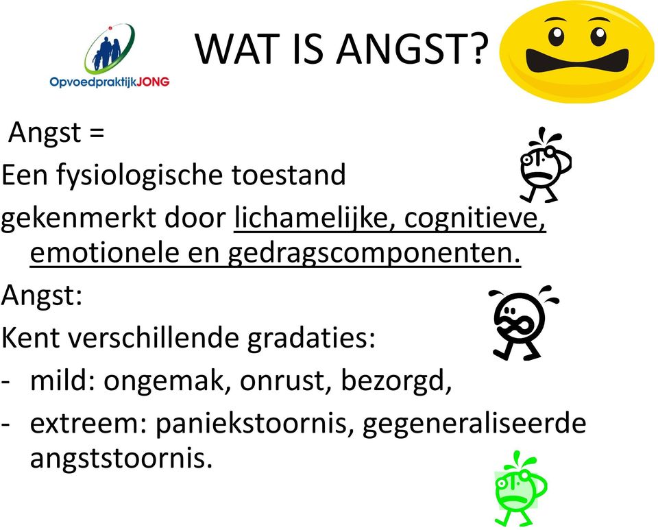 lichamelijke, cognitieve, emotionele en gedragscomponenten.