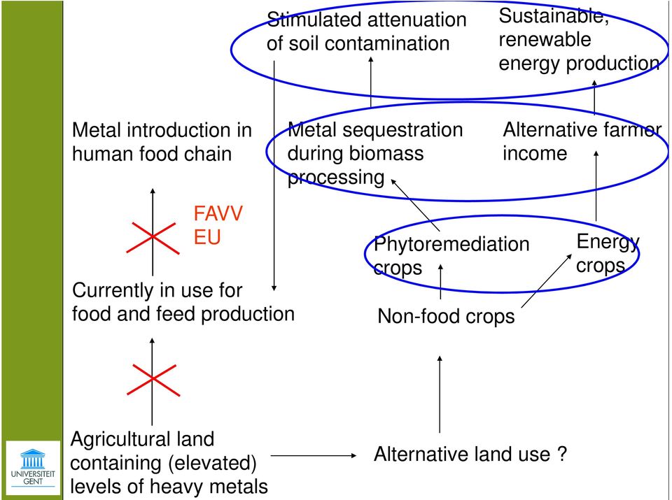 farmer income FAVV EU Currently in use for food and feed production Phytoremediation crops