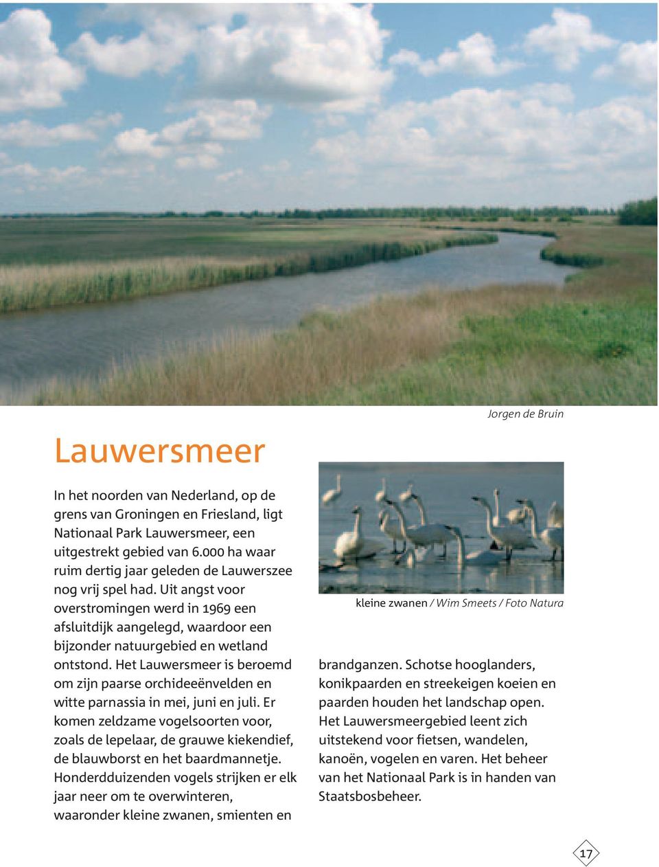 Het Lauwersmeer is beroemd om zijn paarse orchideeënvelden en witte parnassia in mei, juni en juli.