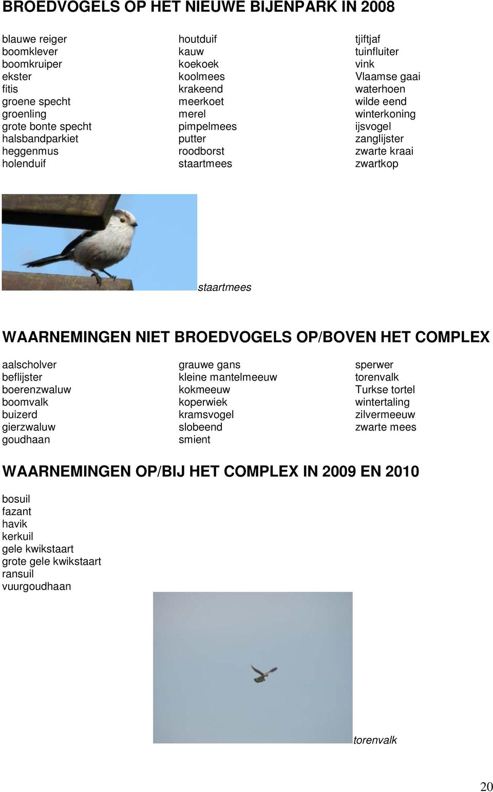 WAARNEMINGEN NIET BROEDVOGELS OP/BOVEN HET COMPLEX aalscholver beflijster boerenzwaluw boomvalk buizerd gierzwaluw goudhaan grauwe gans kleine mantelmeeuw kokmeeuw koperwiek kramsvogel slobeend