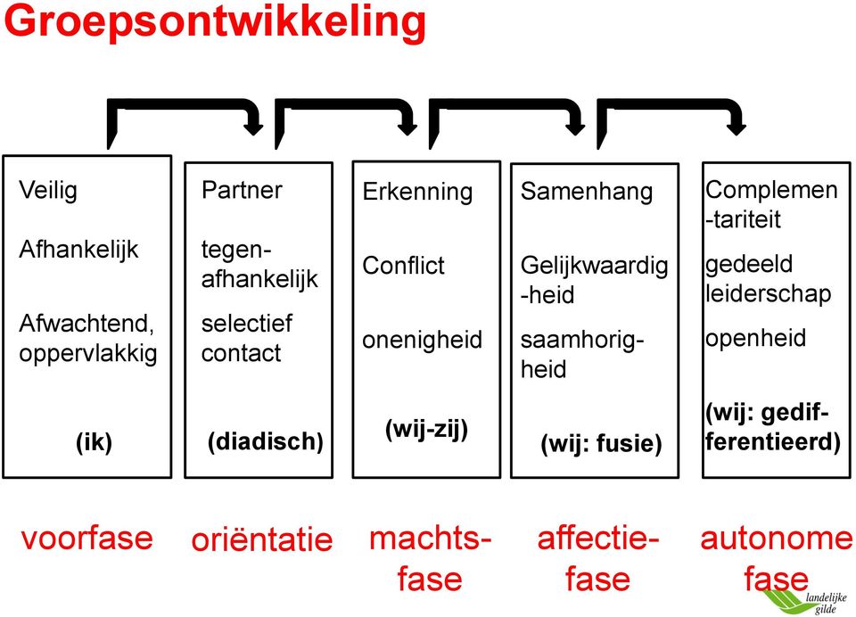 saamhorigheid Complemen -tariteit gedeeld leiderschap openheid (ik) (diadisch)