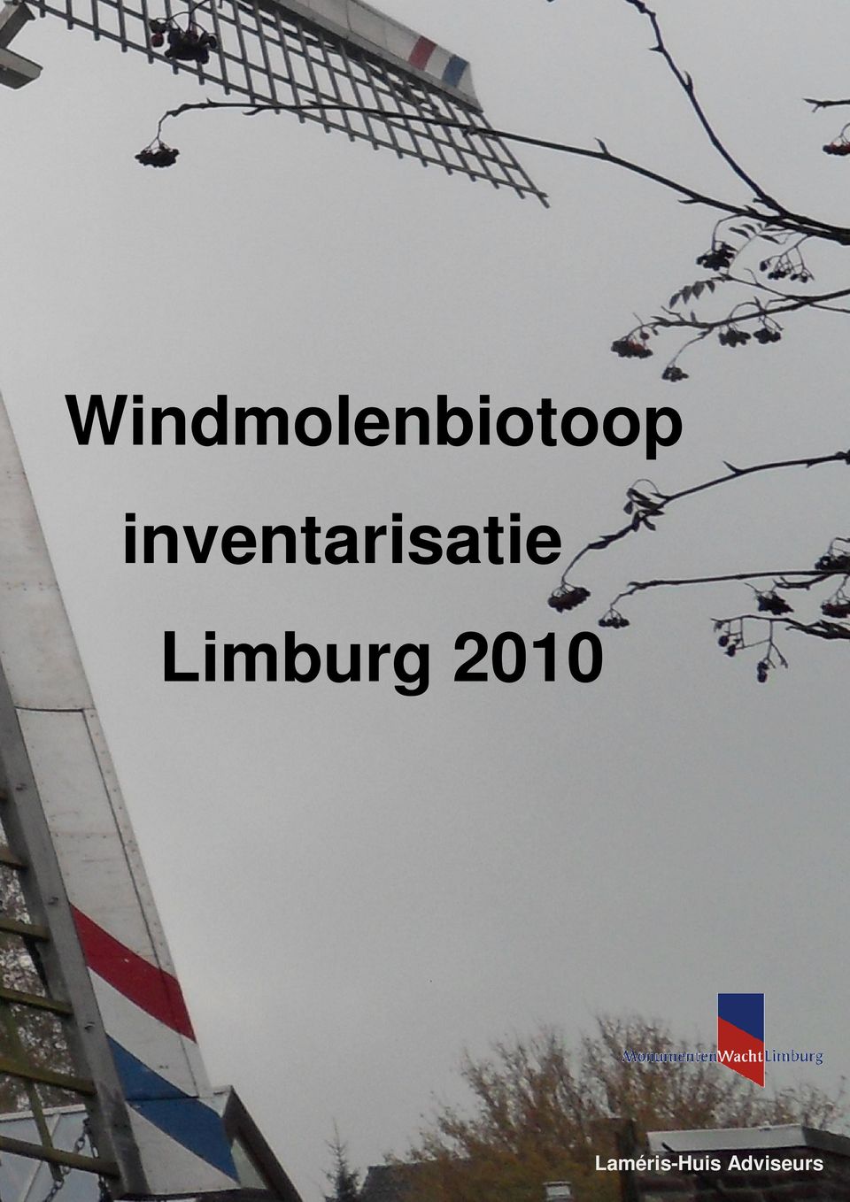 Limburg 2010