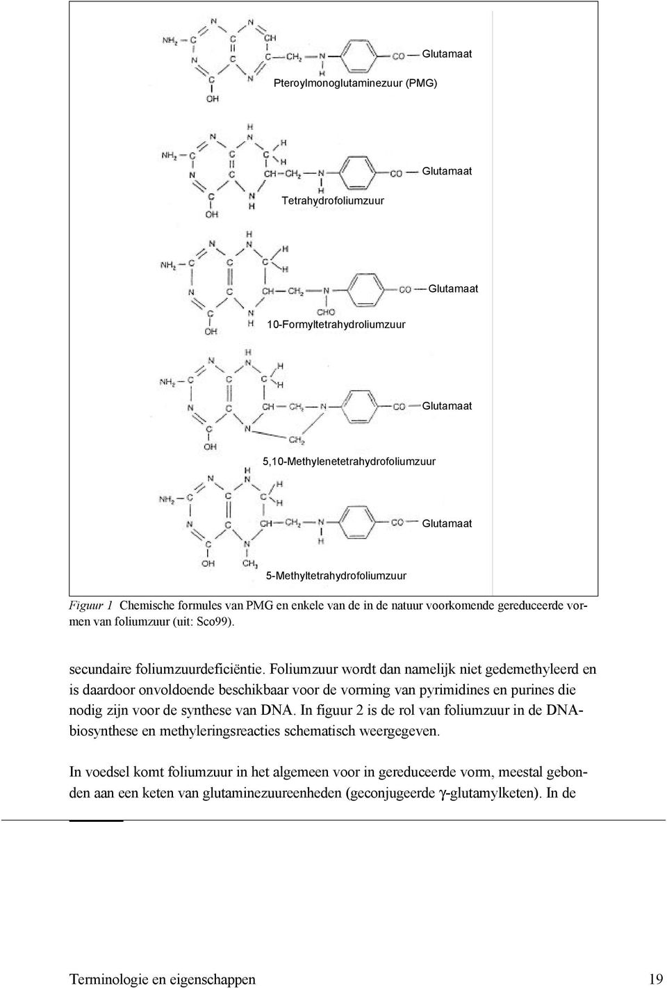 Foliumzuur wordt dan namelijk niet gedemethyleerd en is daardoor onvoldoende beschikbaar voor de vorming van pyrimidines en purines die nodig zijn voor de synthese van DNA.