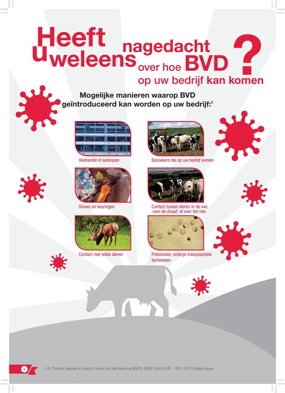 de wei, over-de draad of over het hek Contact met wilde dieren Pinkenstier, embryo transplantatie technieken 6 1.