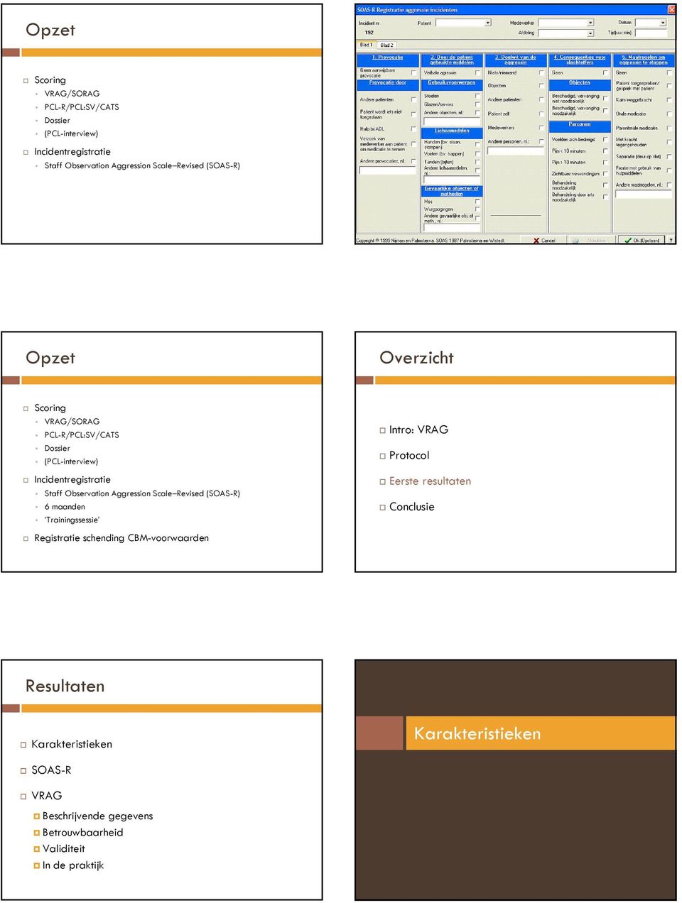 Incidentregistratie Staff Observation Aggression Scale Revised (SOAS-R) 6 maanden Trainingssessie Registratie