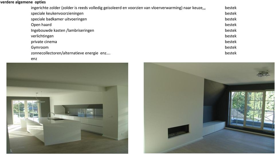 speciale badkamer uitvoeringen Open haard Ingebouwde kasten /lambriseringen