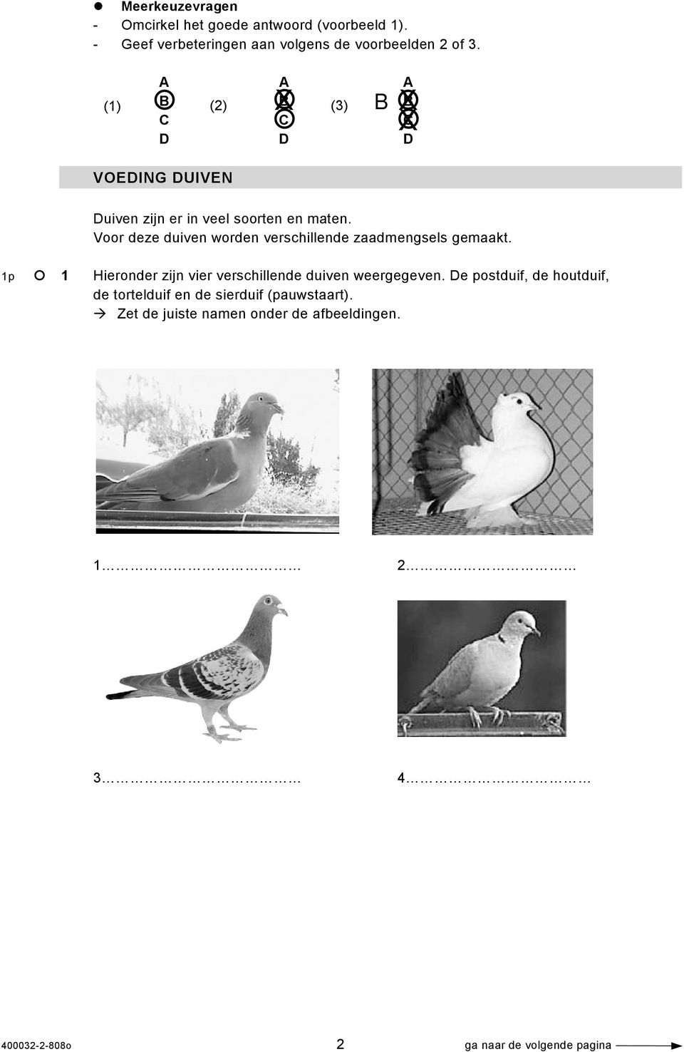 Voor deze duiven worden verschillende zaadmengsels gemaakt. 1p 1 Hieronder zijn vier verschillende duiven weergegeven.