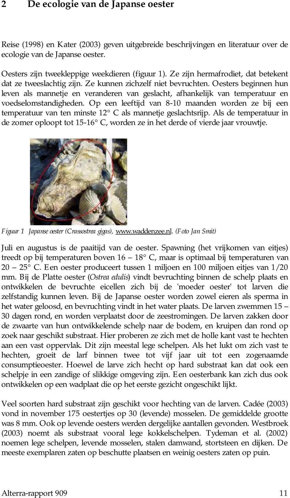 Oesters beginnen hun leven als mannetje en veranderen van geslacht, afhankelijk van temperatuur en voedselomstandigheden.