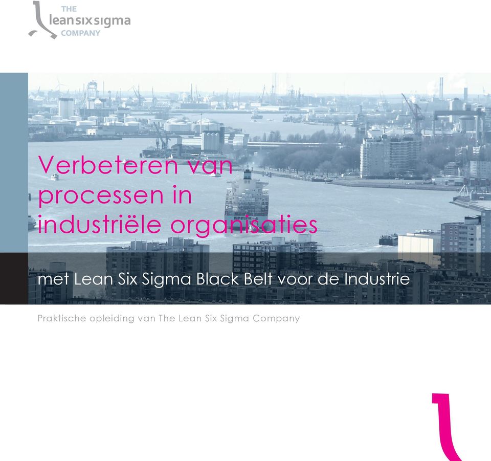 Sigma Black Belt voor de Industrie