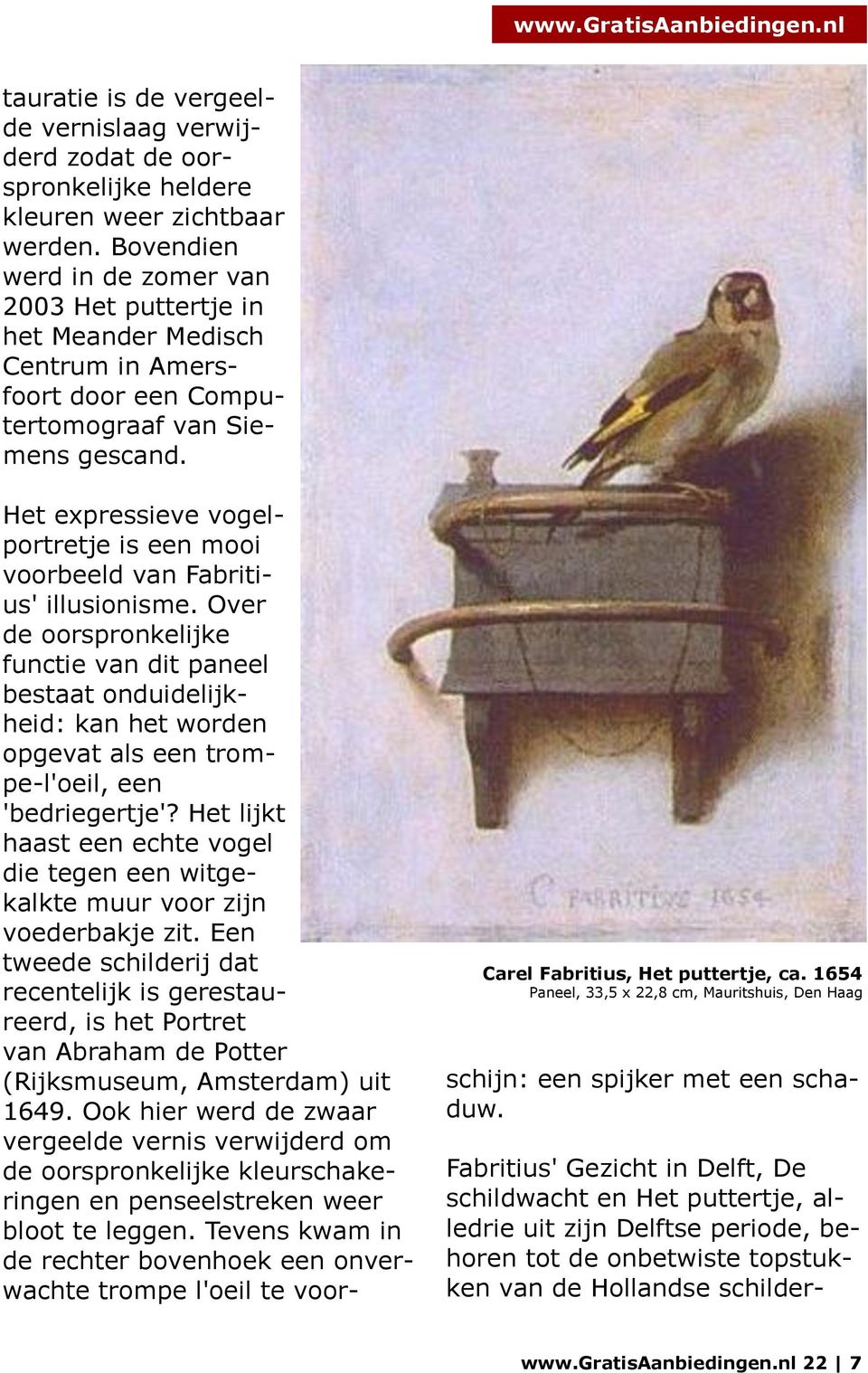 1654 Paneel, 33,5 x 22,8 cm, Mauritshuis, Den Haag Het expressieve vogelportretje is een mooi voorbeeld van Fabritius' illusionisme.