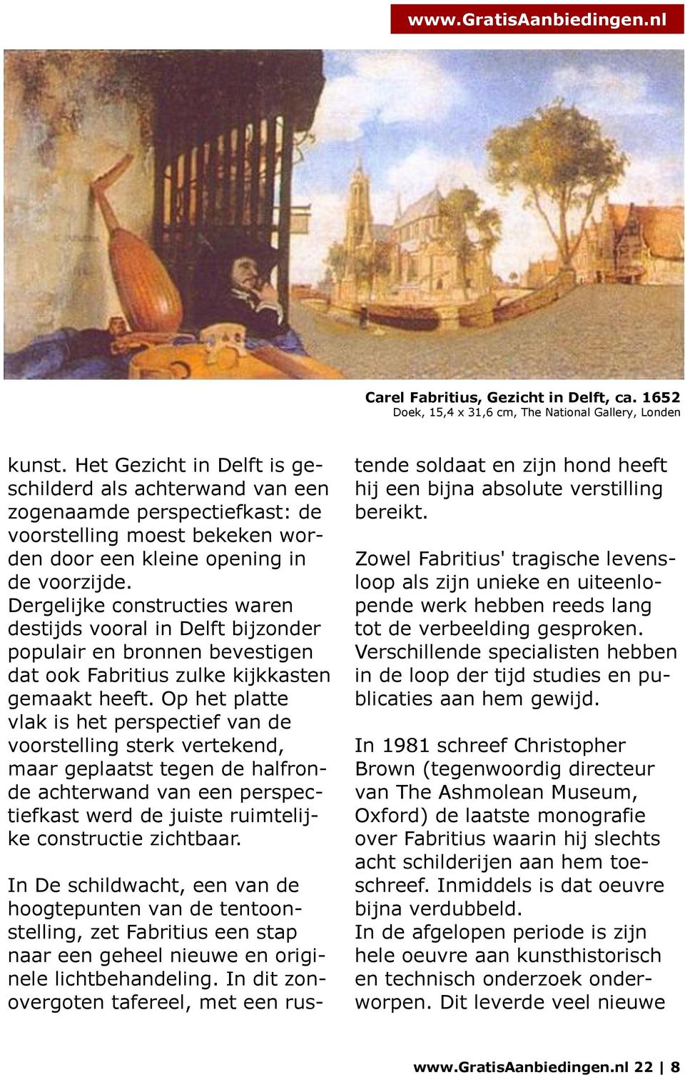 Dergelijke constructies waren destijds vooral in Delft bijzonder populair en bronnen bevestigen dat ook Fabritius zulke kijkkasten gemaakt heeft.