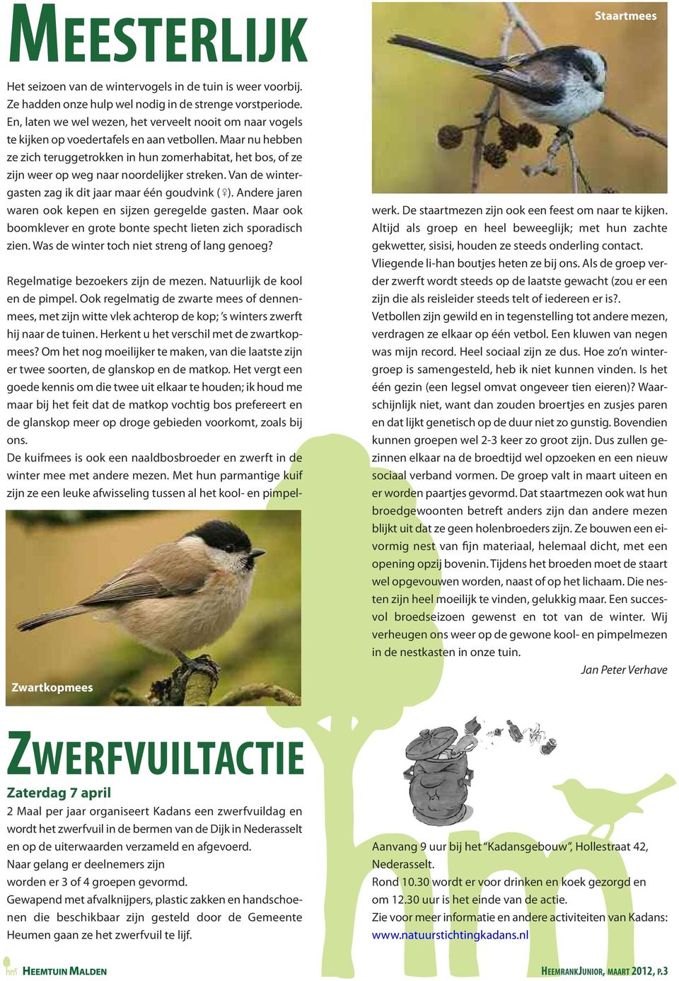 Maar nu hebben ze zich teruggetrokken in hun zomerhabitat, het bos, of ze zijn weer op weg naar noordelijker streken. Van de wintergasten zag ik dit jaar maar één goudvink ( ).