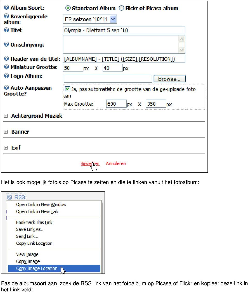 albumsoort aan, zoek de RSS link van het fotoalbum