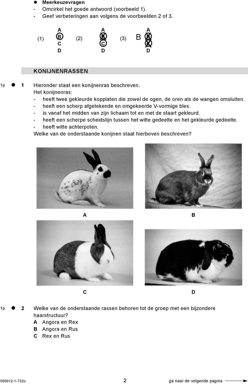 Het konijnenras: - heeft twee gekleurde kopplaten die zowel de ogen, de oren als de wangen omsluiten. - heeft een scherp afgetekende en omgekeerde V-vormige bles.