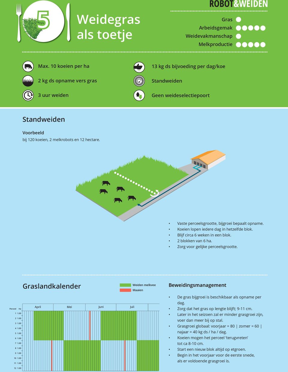 Vaste perceelsgrootte, bijgroei bepaalt opname. Koeien lopen iedere dag in hetzelfde blok. Blijf circa 6 weken in een blok. 2 blokken van 6 ha. Zorg voor gelijke perceelsgrootte.