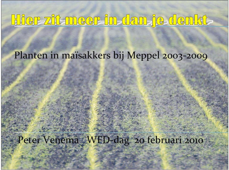 Meppel 2003 2009