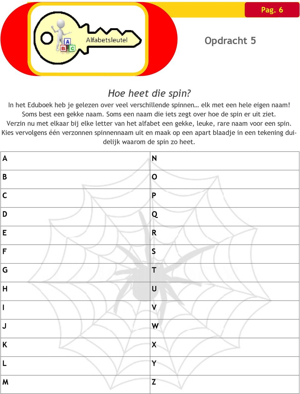 Soms een naam die iets zegt over hoe de spin er uit ziet.