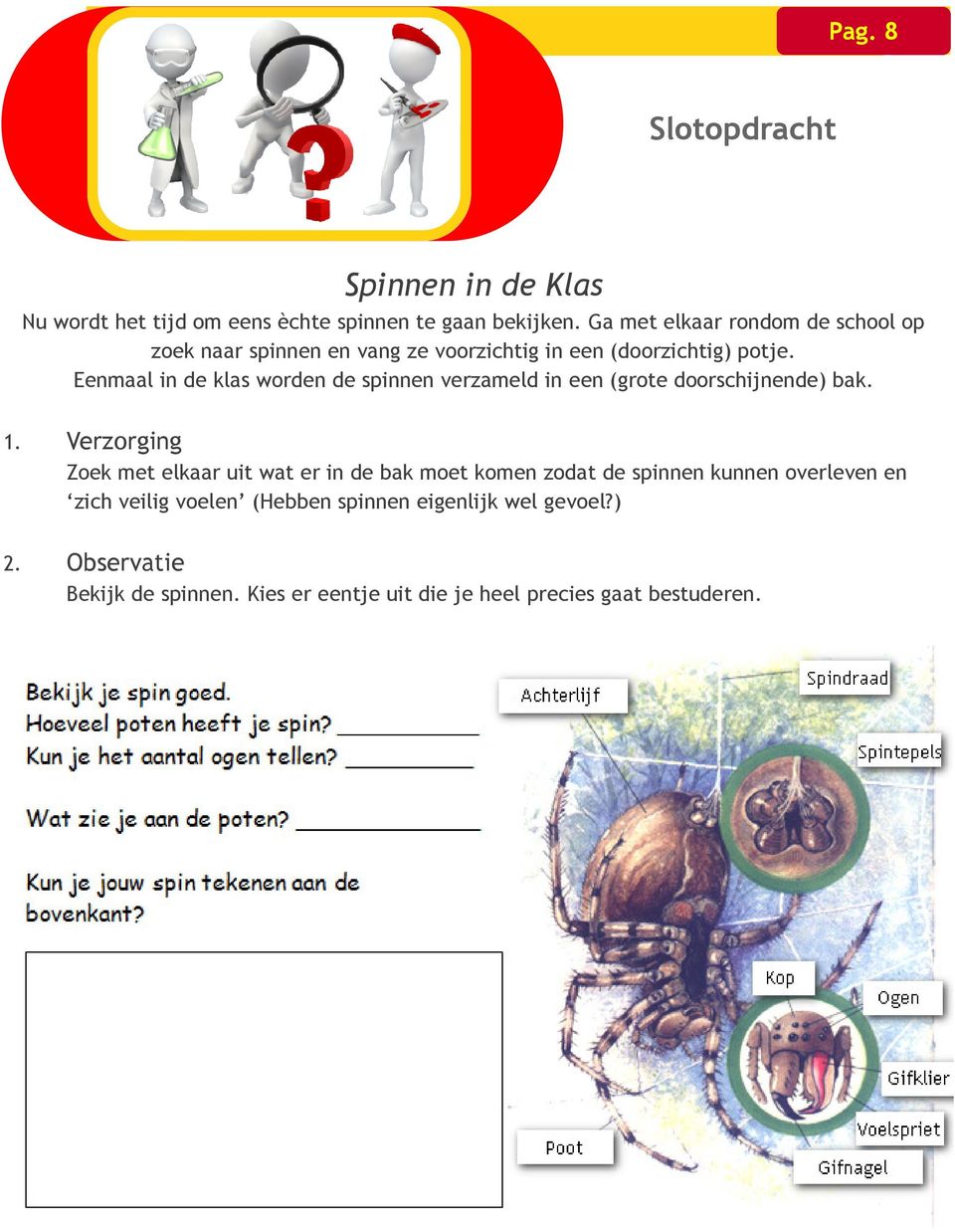 Eenmaal in de klas worden de spinnen verzameld in een (grote doorschijnende) bak. 1.