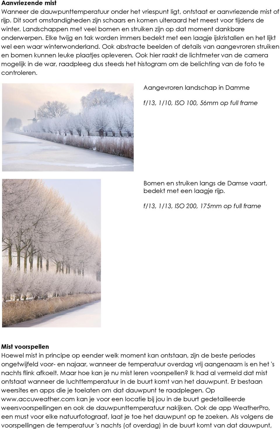 Elke twijg en tak worden immers bedekt met een laagje ijskristallen en het lijkt wel een waar winterwonderland.