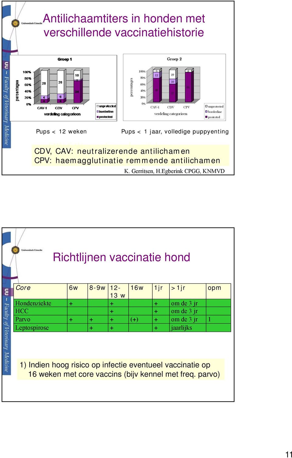 antilichamen CPV: haemagglutinatie remmende antilichamen K. Gerritsen, H.