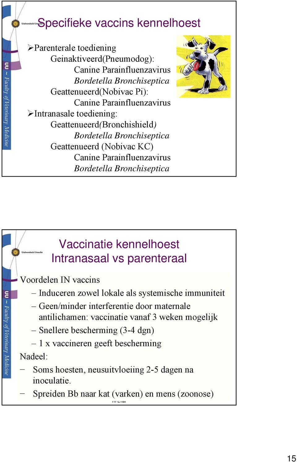 Intranasaal vs parenteraal Voordelen IN vaccins Induceren zowel lokale als systemische immuniteit Geen/minder interferentie door maternale antilichamen: vaccinatie vanaf 3 weken