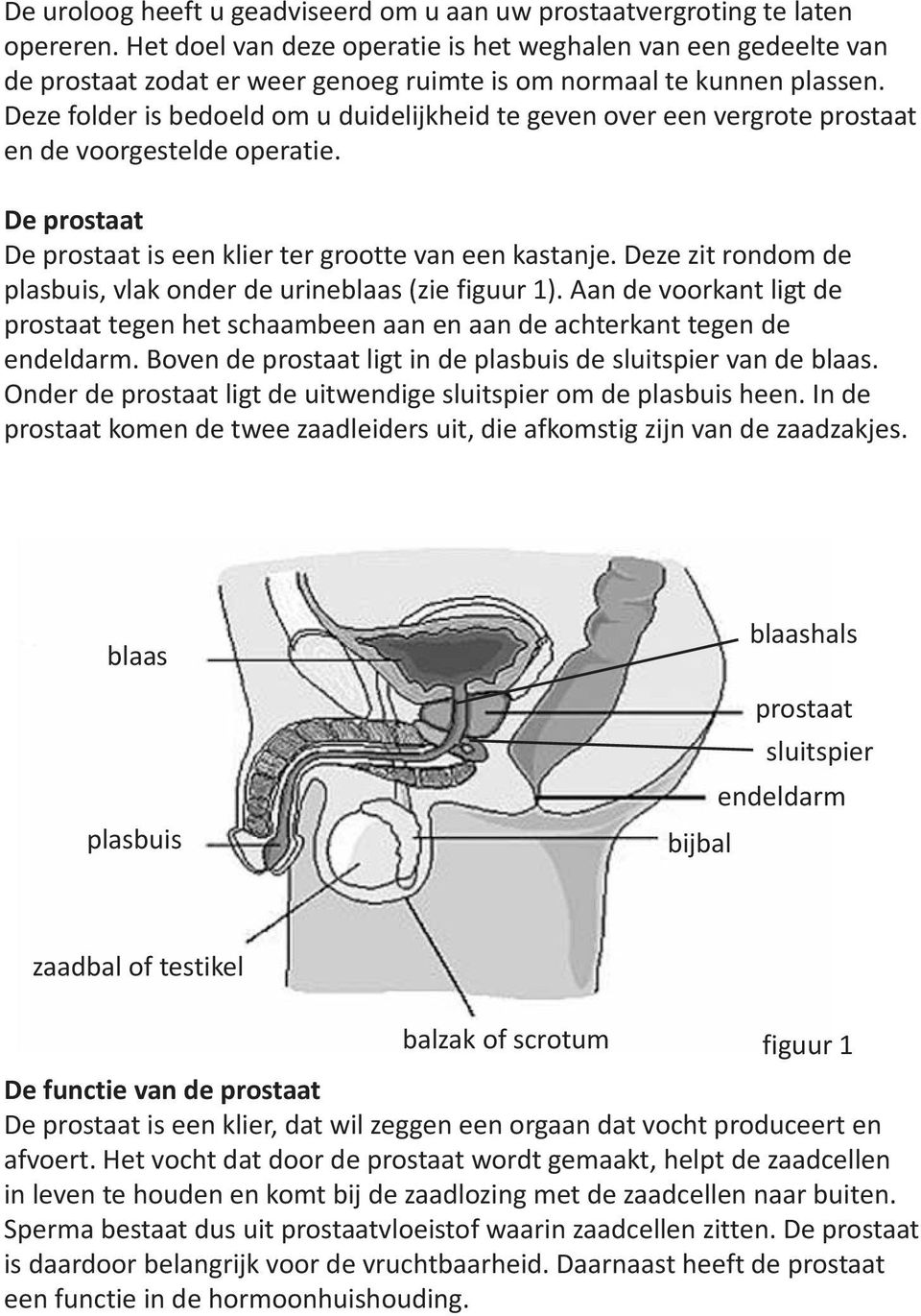 Deze folder is bedoeld om u duidelijkheid te geven over een vergrote prostaat en de voorgestelde operatie. De prostaat De prostaat is een klier ter grootte van een kastanje.