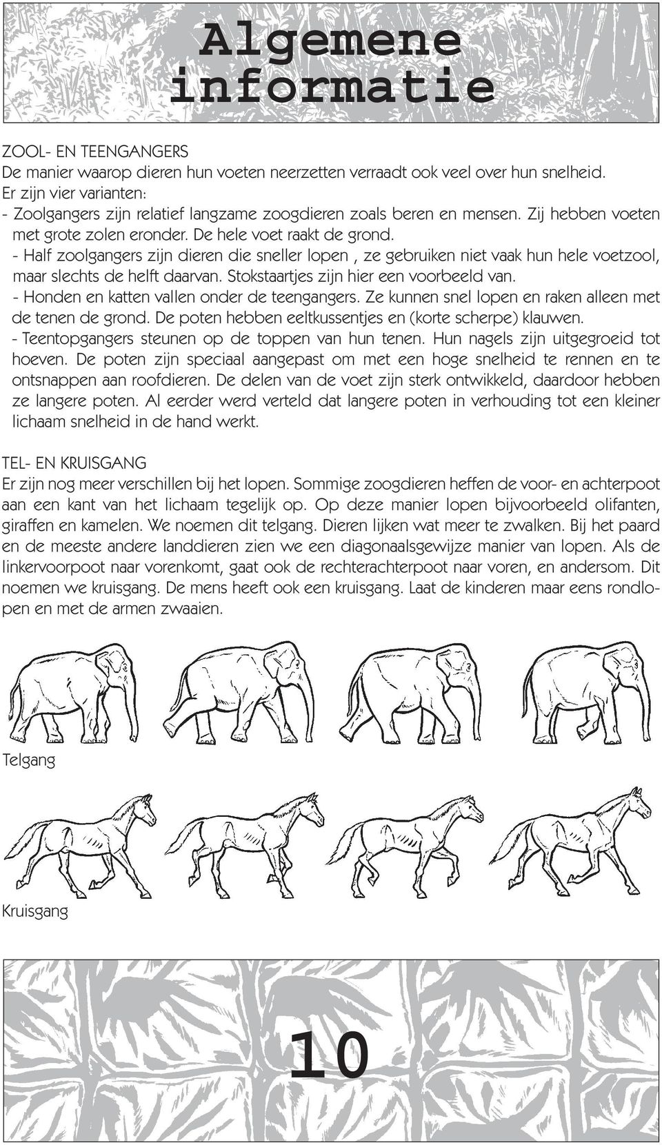 - Half zoolgangers zijn dieren die sneller lopen, ze gebruiken niet vaak hun hele voetzool, maar slechts de helft daarvan. Stokstaartjes zijn hier een voorbeeld van.