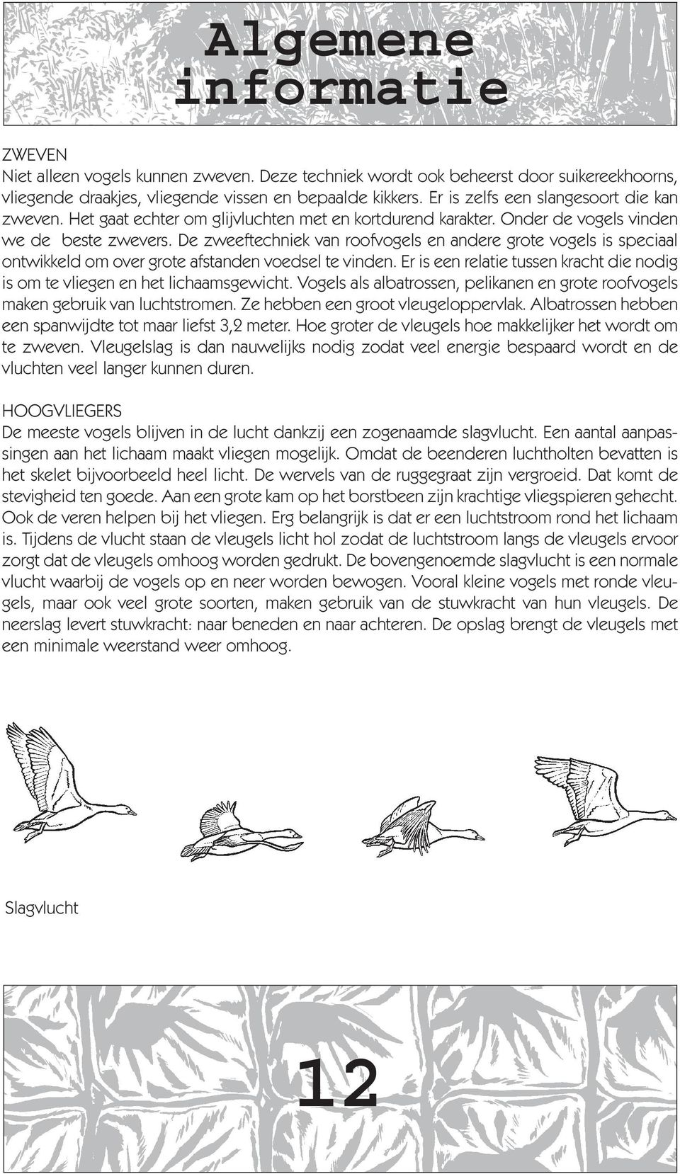 De zweeftechniek van roofvogels en andere grote vogels is speciaal ontwikkeld om over grote afstanden voedsel te vinden.
