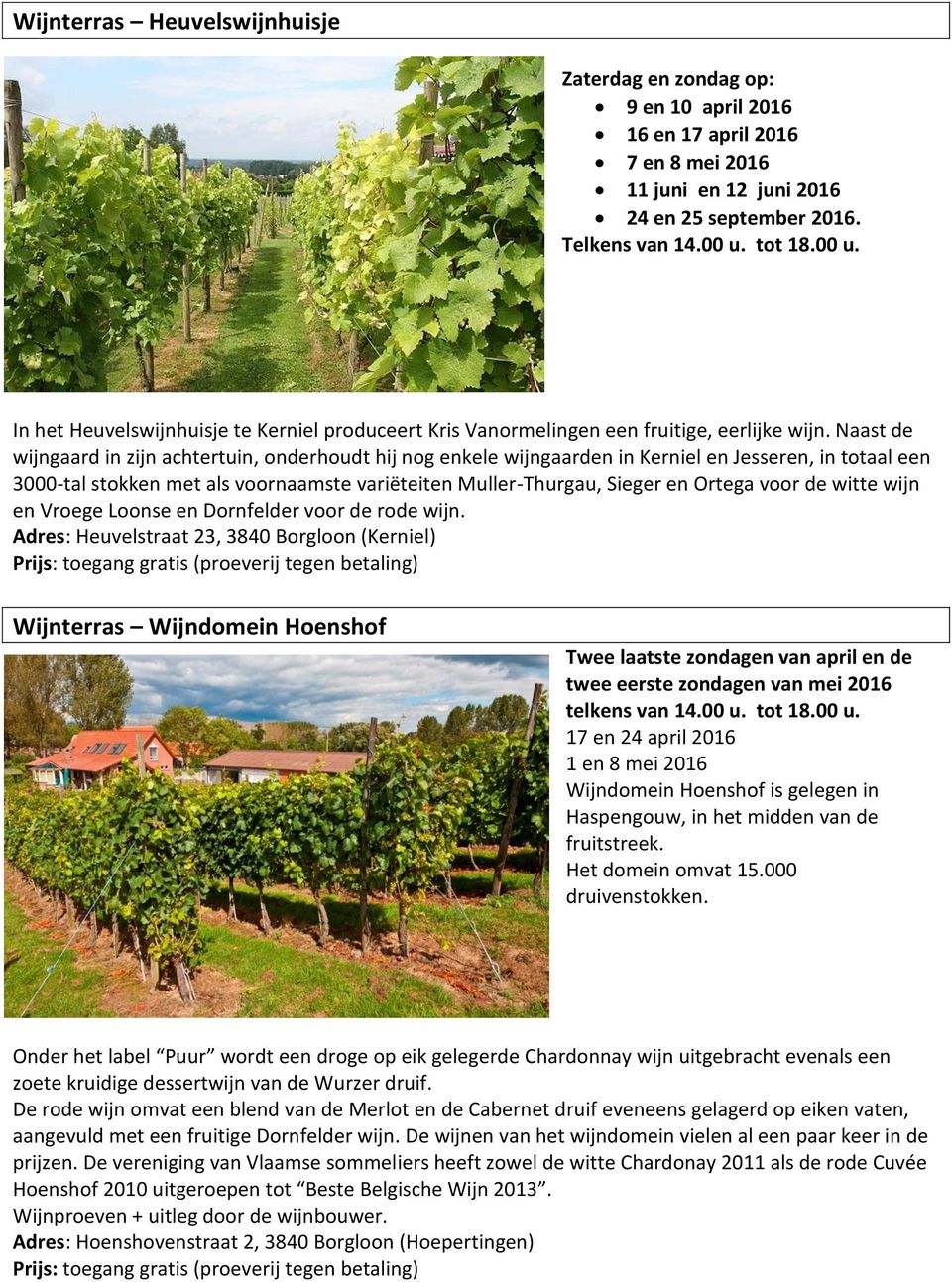 Naast de wijngaard in zijn achtertuin, onderhoudt hij nog enkele wijngaarden in Kerniel en Jesseren, in totaal een 3000-tal stokken met als voornaamste variëteiten Muller-Thurgau, Sieger en Ortega