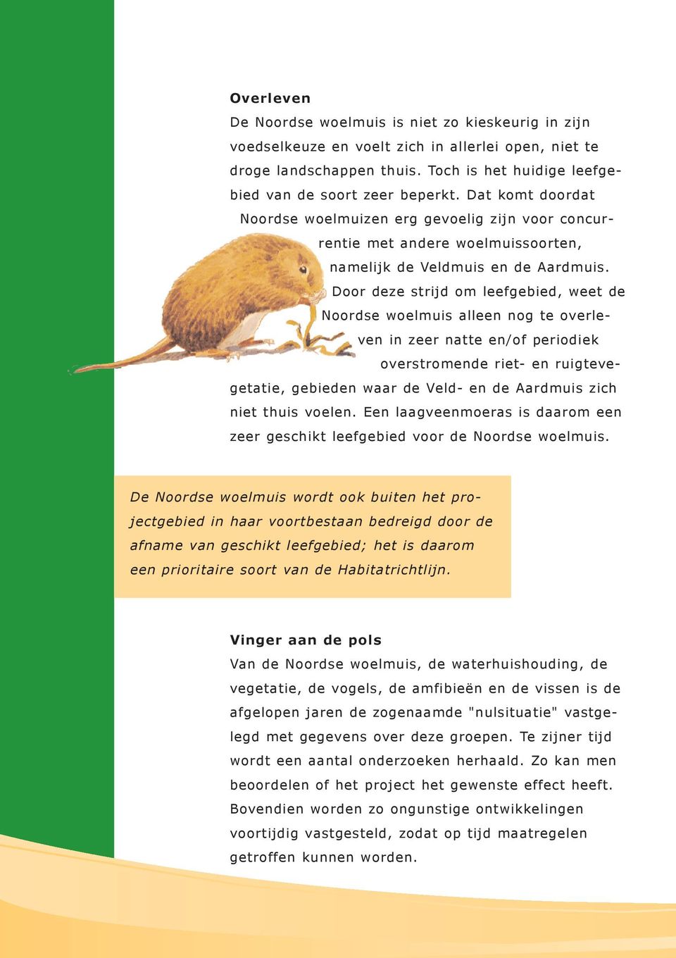 Door deze strijd om leefgebied, weet de Noordse woelmuis alleen nog te overleven in zeer natte en/of periodiek overstromende riet- en ruigtevegetatie, gebieden waar de Veld- en de Aardmuis zich niet