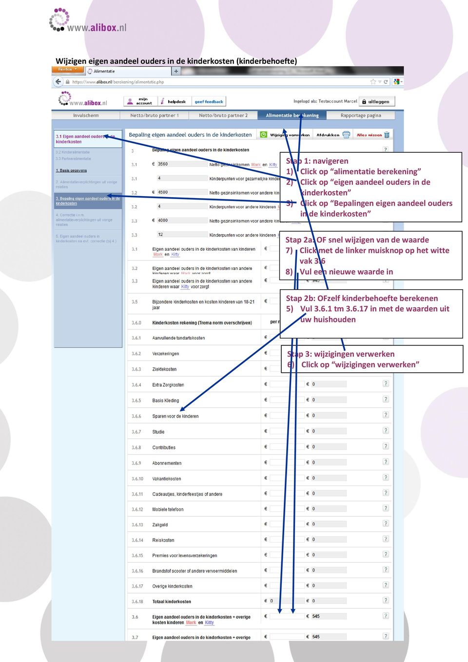 7) Click met de linker muisknop op het witte vak 3.6 8) Vul een nieuwe waarde in Stap 2b: OFzelf kinderbehoefte berekenen 5) Vul 3.6.1 tm 3.