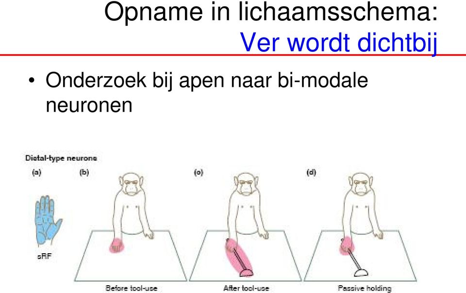 wordt dichtbij