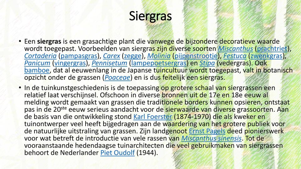 (lampepoetsergras) en Stipa (vedergras). Ook bamboe, dat al eeuwenlang in de Japanse tuincultuur wordt toegepast, valt in botanisch opzicht onder de grassen (Poaceae) en is dus feitelijk een siergras.