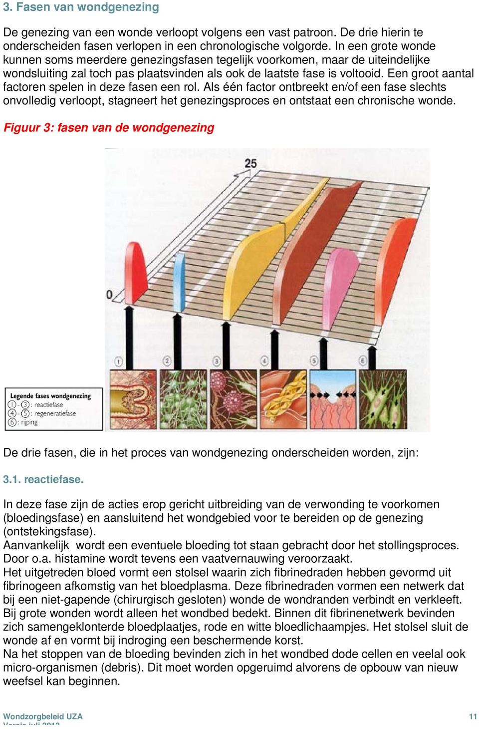 Een groot aantal factoren spelen in deze fasen een rol. Als één factor ontbreekt en/of een fase slechts onvolledig verloopt, stagneert het genezingsproces en ontstaat een chronische wonde.