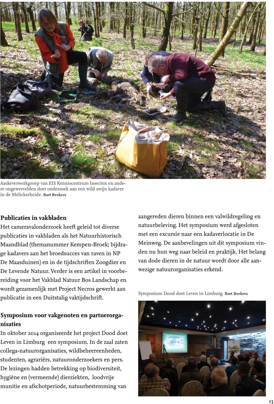 broedsucces van raven in NP De Maasduinen) en in de tijdschriften Zoogdier en De Levende Natuur.