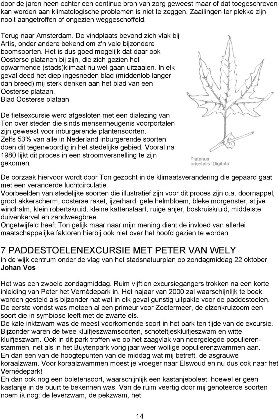 Het i du ged mgelijk dat daa k Otee platanen bij zijn, die zich gezien het pwamende (tad)klimaat nu wel gaan uitzaaien.