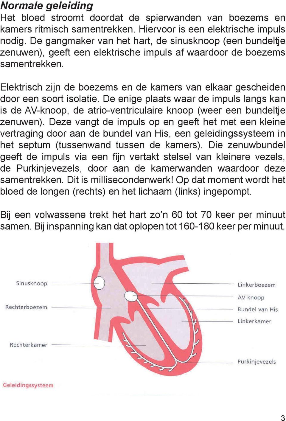 Elektrisch zijn de boezems en de kamers van elkaar gescheiden door een soort isolatie.