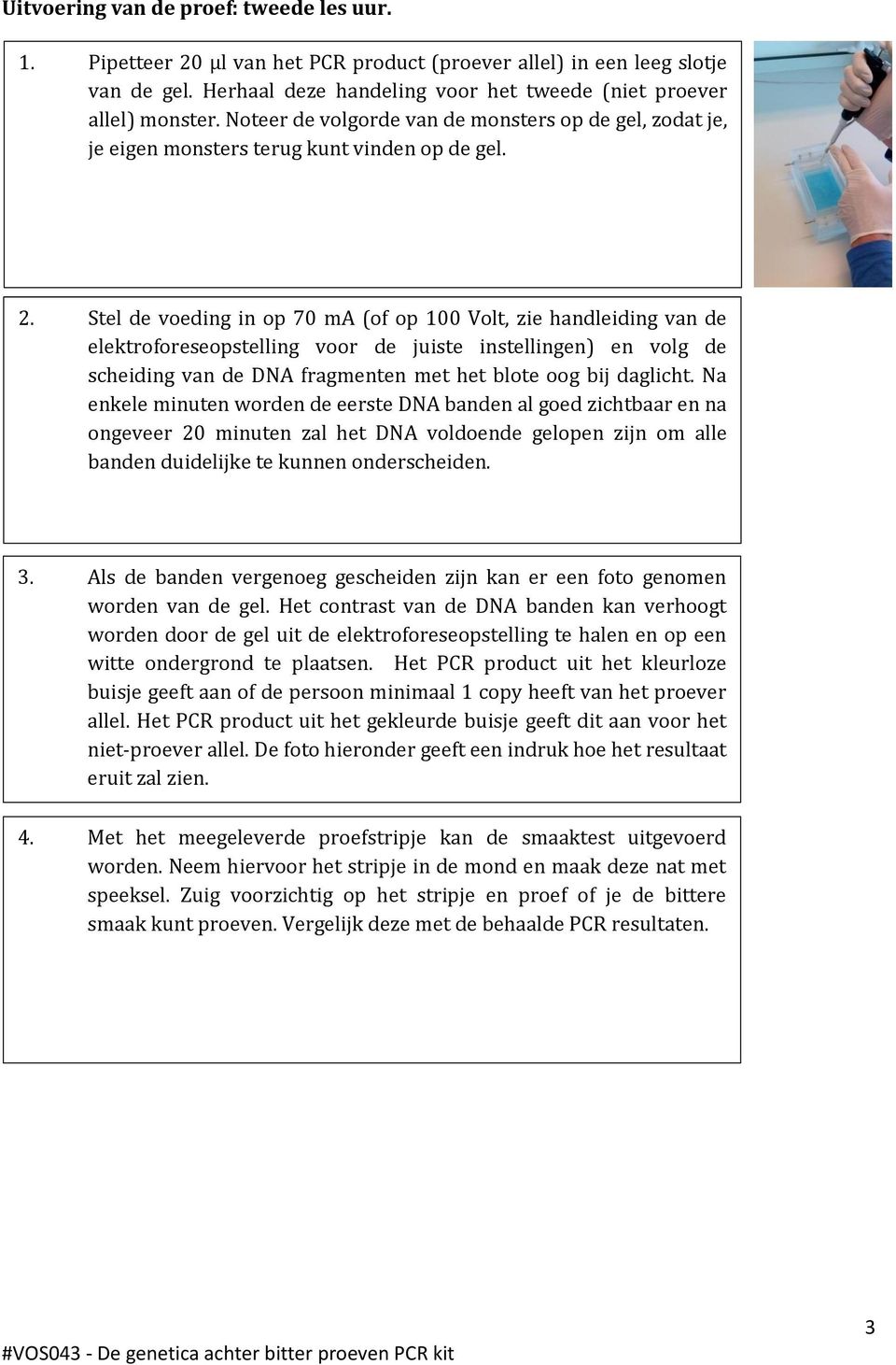 Stel de voeding in op 70 ma (of op 100 Volt, zie handleiding van de elektroforeseopstelling voor de juiste instellingen) en volg de scheiding van de DNA fragmenten met het blote oog bij daglicht.