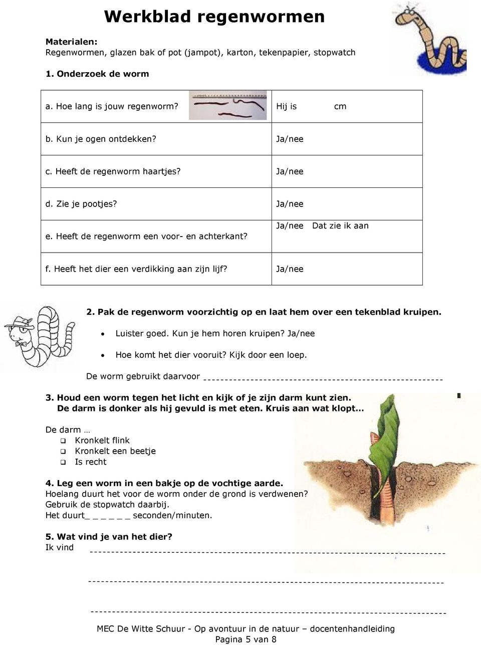 Pak de regenworm voorzichtig op en laat hem over een tekenblad kruipen. Luister goed. Kun je hem horen kruipen? Ja/nee Hoe komt het dier vooruit? Kijk door een loep. De worm gebruikt daarvoor 3.