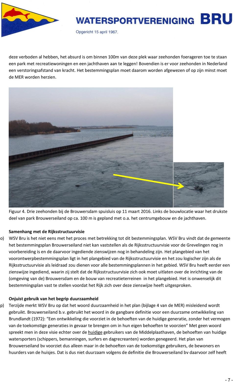 Drie zeehonden bij de Brouwersdam spuisluis op 11 maart 2016. Links de bouwlocatie waar het drukste deel van park Brouwerseiland op ca. 100 m is gepland met o.a. het centrumgebouw en de jachthaven.