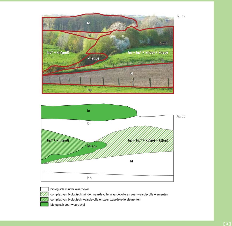 1b bl hp* + kh(gml) kt(sg) hp + hp* + kt(qe) + kt(sp) bl hp biologisch minder waardevol complex van biologisch minder waardevolle, waardevolle en