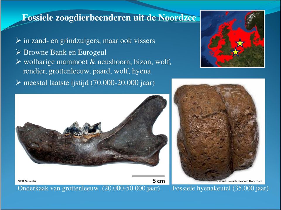 wolf, hyena meestal laatste ijstijd (70.000-20.