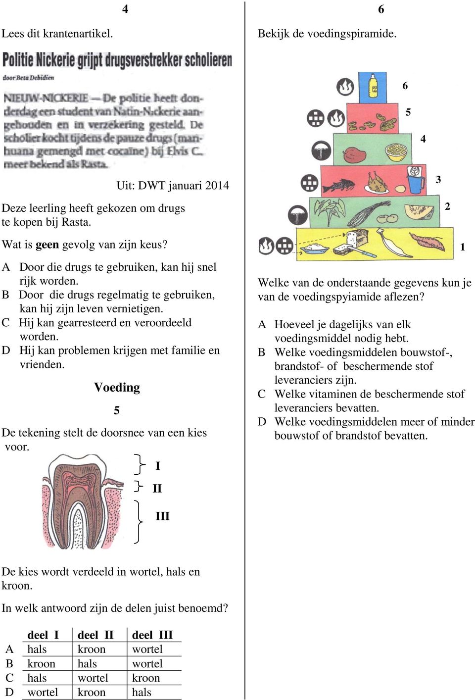 D Hij kan problemen krijgen met familie en vrienden. Voeding De tekening stelt de doorsnee van een kies voor. 5 I II Welke van de onderstaande gegevens kun je van de voedingspyiamide aflezen?