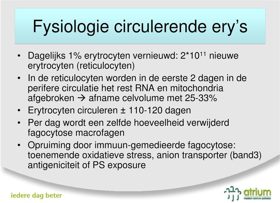 celvolume met 25-33% Erytrocyten circuleren ± 110-120 dagen Per dag wordt een zelfde hoeveelheid verwijderd fagocytose