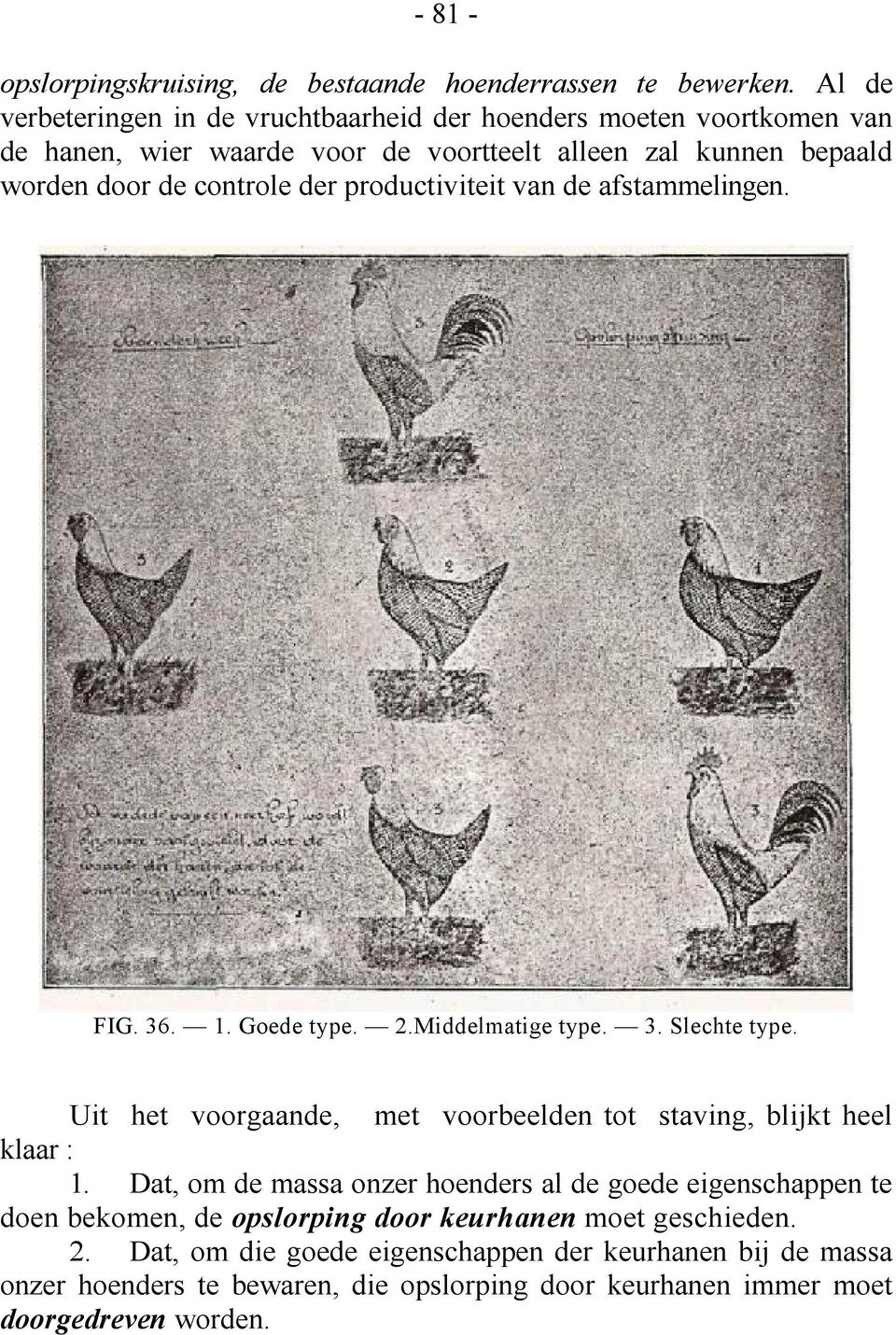 productiviteit van de afstammelingen. FIG. 36. 1. Goede type. 2.Middelmatige type. 3. Slechte type. Uit het voorgaande, met voorbeelden tot staving, blijkt heel klaar : 1.