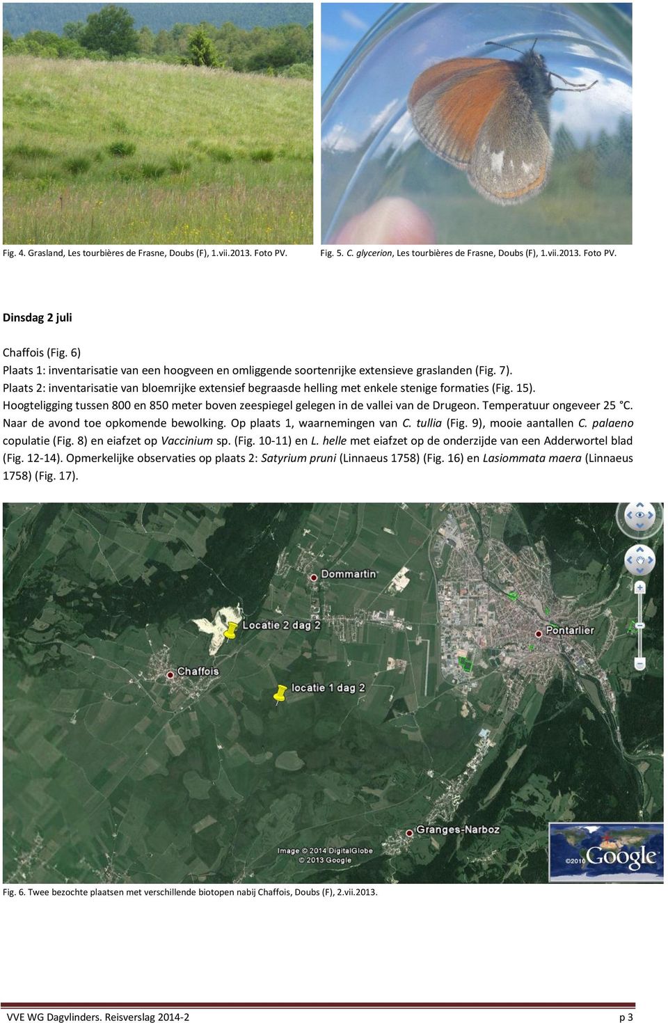 Plaats 2: inventarisatie van bloemrijke extensief begraasde helling met enkele stenige formaties (Fig. 15). Hoogteligging tussen 800 en 850 meter boven zeespiegel gelegen in de vallei van de Drugeon.