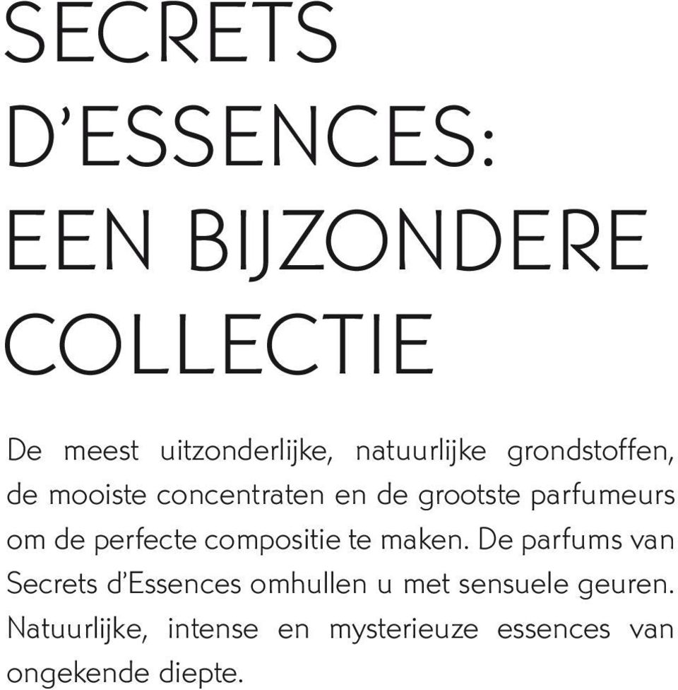 de perfecte compositie te maken.